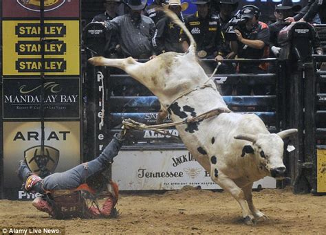 Is Bull Riding Animal Abuse? Exploring the Ethical Dilemmas and Cultural Significance