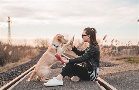 Is Runnings Pet Friendly? Exploring the Unlikely Connection Between Athleticism and Animal Companionship