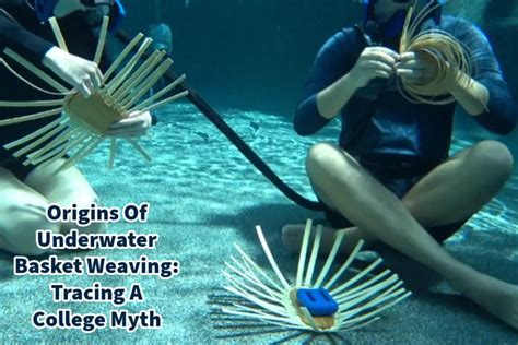 What is considered light housekeeping and how does it intertwine with the art of underwater basket weaving?